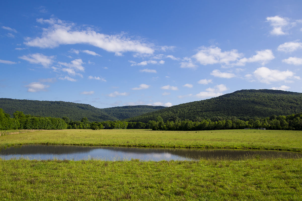 Mud Creek Farm Hall and Hall